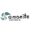 Amonite