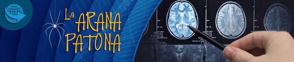 La araña patona 54 - Enfermedades neurodegenerativas