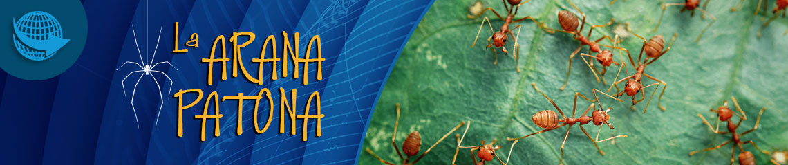 La araña patona 220 - Hormigas, terremotos y Anarquía