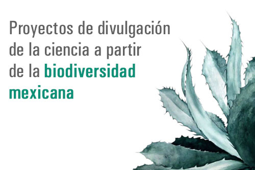 Proyectos de divulgación de la ciencia a partir de la biodiversidad mexicana